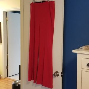 Pull on express pants